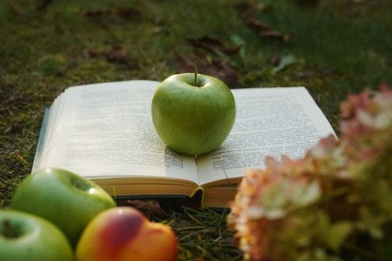 Как обновить старый сад: секреты дачного агронома