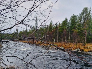 По доброй традиции приветствуем вас в начале недели новыми фотографиями нашего любимого региона