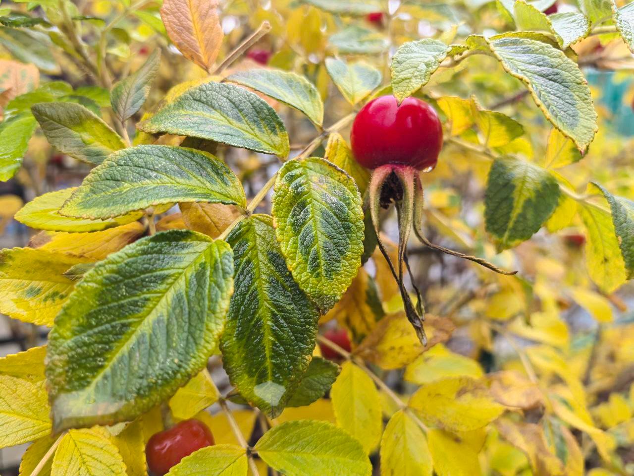 По доброй традиции приветствуем вас в начале недели новыми фотографиями нашего любимого региона По доброй традиции приветствуем вас в начале недели новыми фотографиями нашего любимого региона