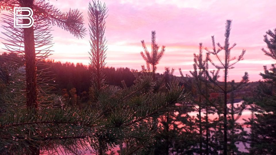 Ветрено и тепло будет 4 ноября в Мурманской области