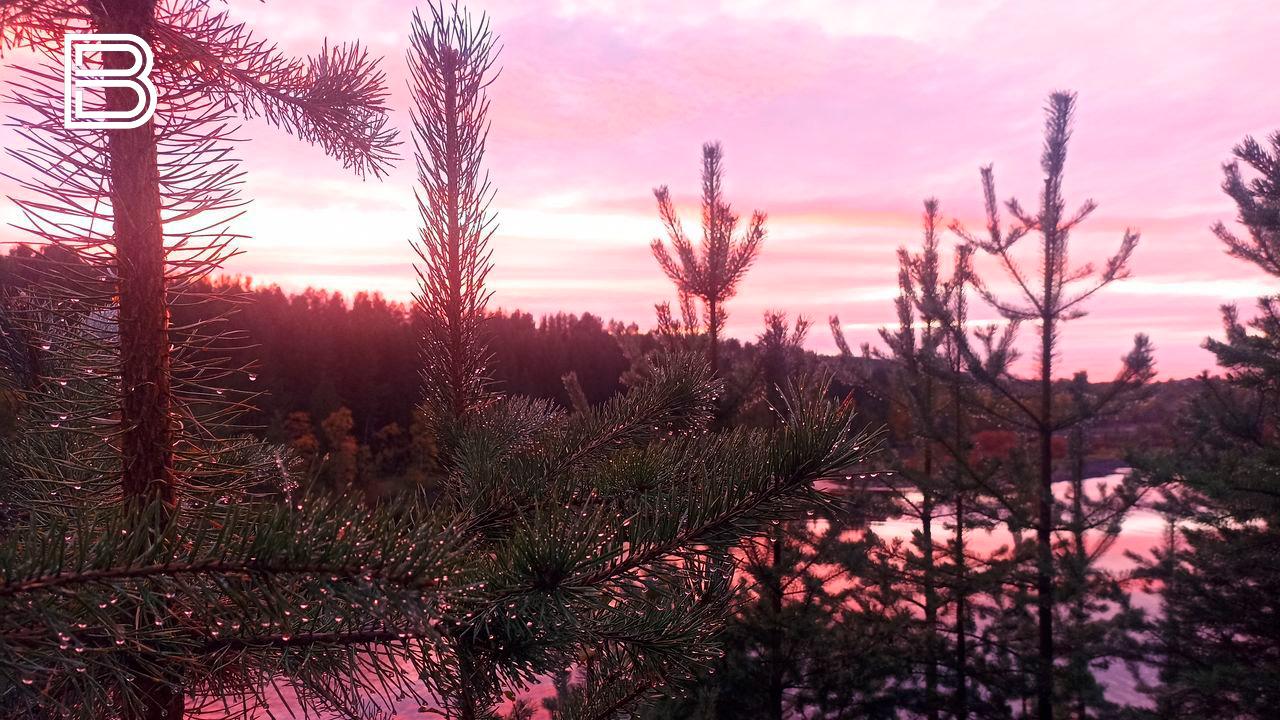 Ветрено и тепло будет 4 ноября в Мурманской области