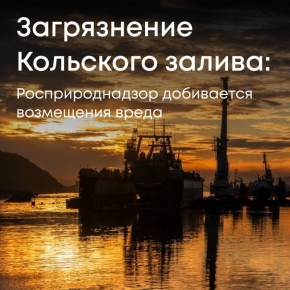 Росприроднадзор направил ООО «Мурманский морской рыбный порт» требование о возмещении ущерба Кольскому заливу — сердцу Мурманского побережья и одной из ключевых акваторий Баренцева моря