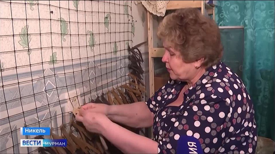  ,          &quot; &quot;