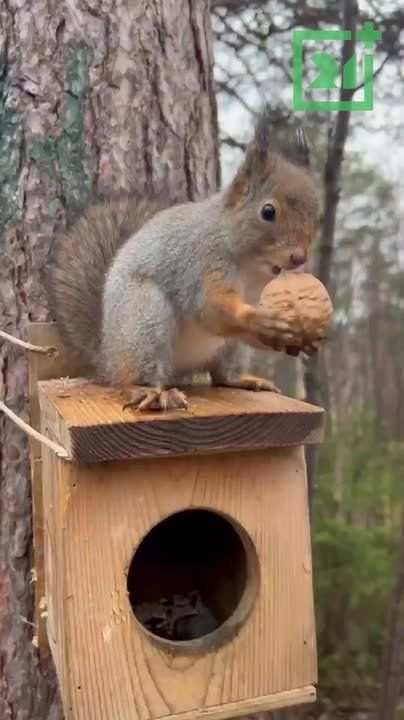 , !.                ,            ...