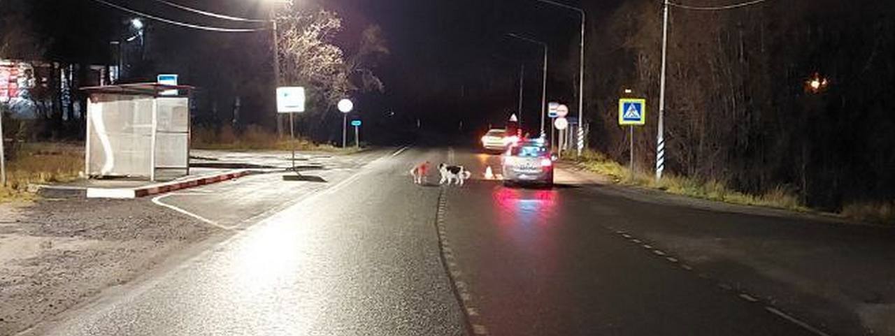 За минувшие сутки, 5 ноября, на дорогах Мурманской области было зарегистрировано пять дорожно-транспортных происшествий, в которых пострадали 8 человек За минувшие сутки, 5 ноября, на дорогах Мурманской области было зарегистрировано пять дорожно-транспортных происшествий, в которых пострадали 8 человек