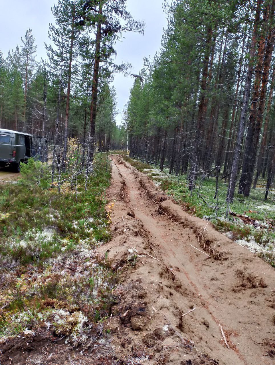 В Мурманской области в 2025 году в рамках противопожарной защиты лесов обустроено приведено в порядок 150 км минерализованных полос В Мурманской области в 2025 году в рамках противопожарной защиты лесов обустроено приведено в порядок 150 км минерализованных полос