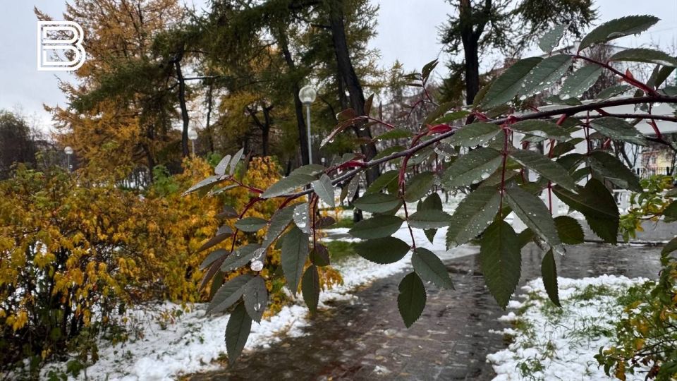 По данным мурманского гидрометцентра, 7 ноября в Кольском Заполярье ожидается облачная погода