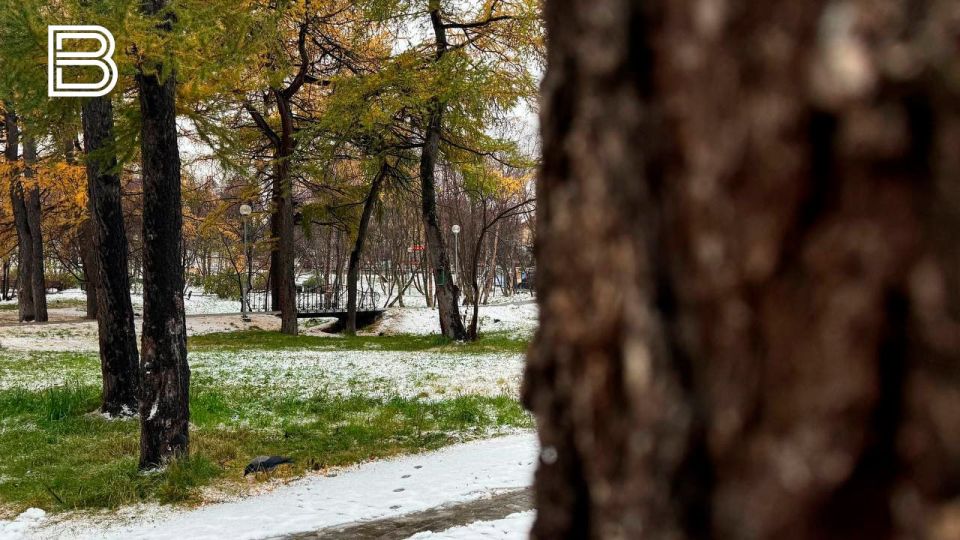 По информации мурманского гидрометцентра, 9 ноября в Кольском Заполярье будет облачно