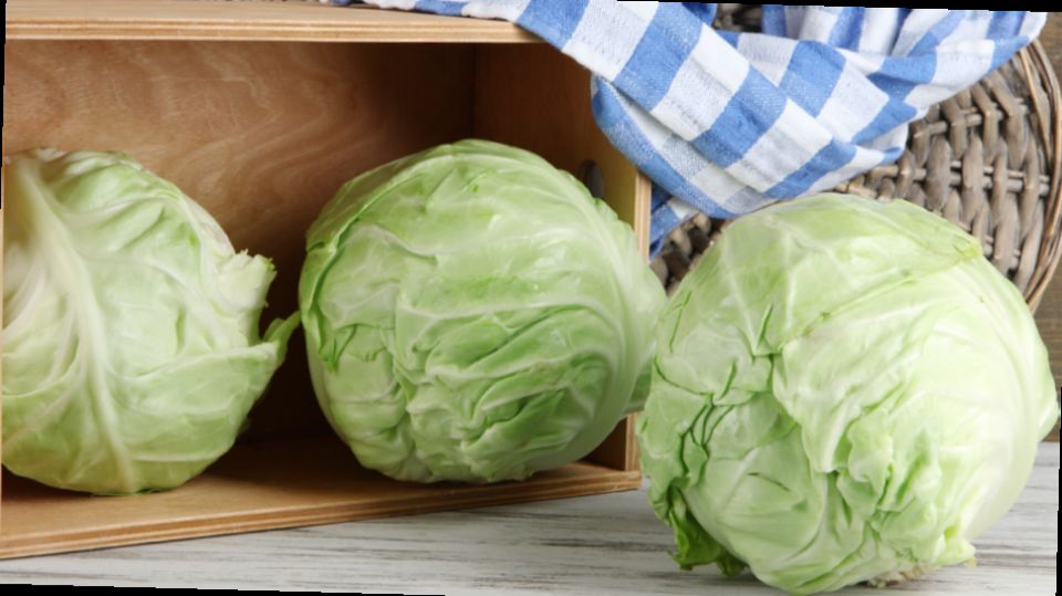 Как добиться рекордного урожая капусты: секреты опытного огородника