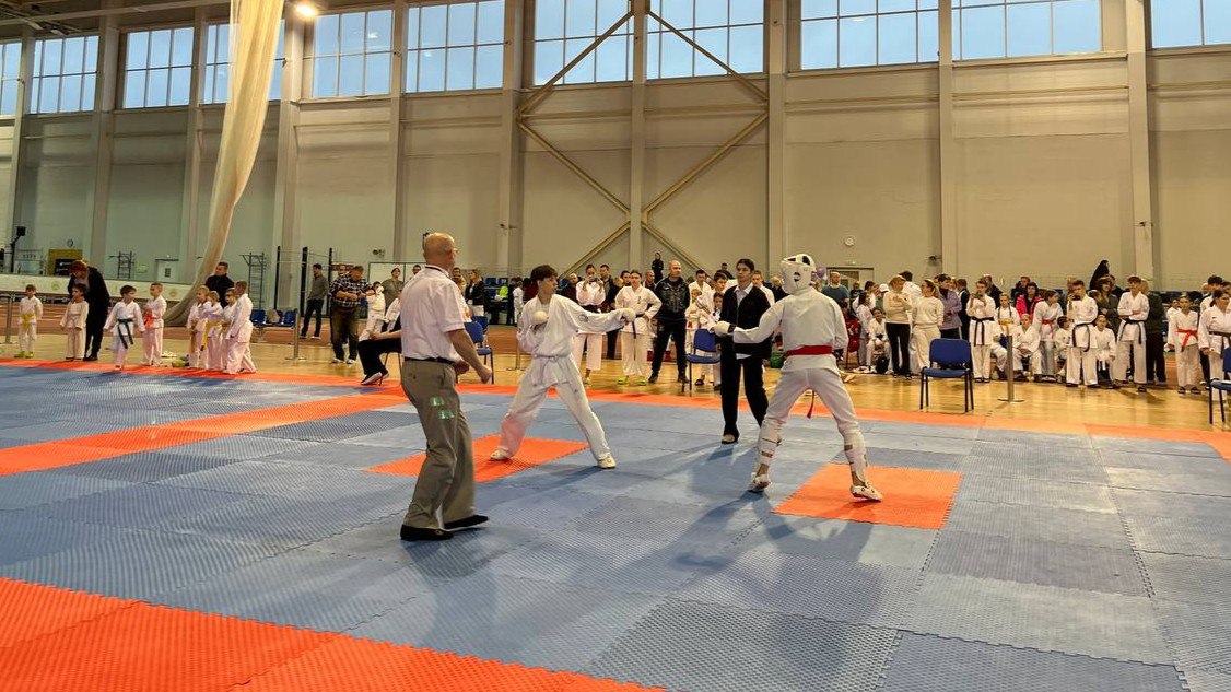 Региональные соревнования по каратэ прошли в Мурманском легкоатлетическом манеже Региональные соревнования по каратэ прошли в Мурманском легкоатлетическом манеже
