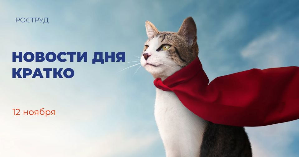 Завершился заочный этап премии «Больше, чем путешествие»