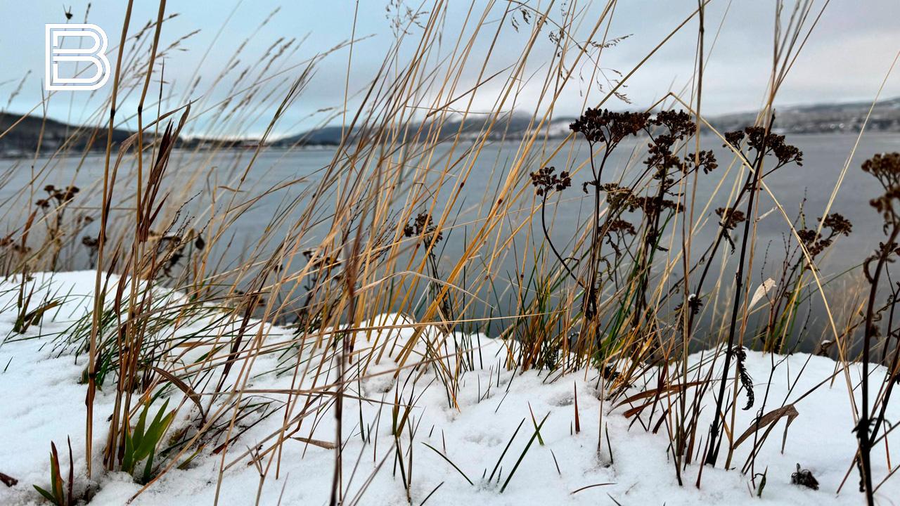 По данным мурманского гидрометцентра, 12 ноября в Кольском Заполярье ожидается облачная с прояснениями погода