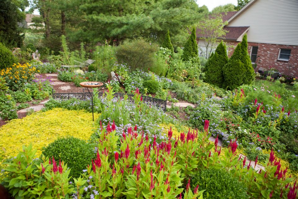 Искусство совместимости: как создать гармоничный сад без излишней пестроты