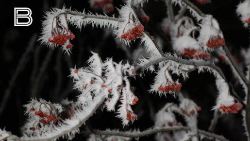По данным мурманского гидрометцентра, 13 ноября в Кольском Заполярье ожидается облачная погода