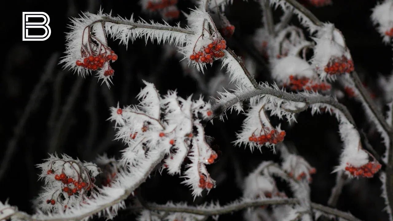 По данным мурманского гидрометцентра, 13 ноября в Кольском Заполярье ожидается облачная погода