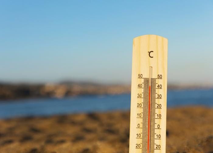 Как защитить ваш сад от летней жары