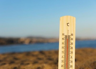 Как защитить ваш сад от летней жары