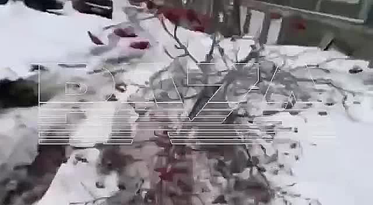 Мурманск парализовало из-за мощной метели с грозой: около 16 рейсов задержаны, на нескольких федеральных участках трасс перекрыто движение