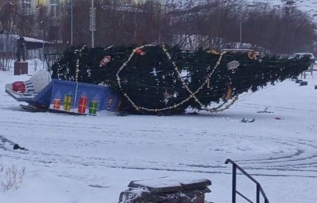 Новогодние ёлки попадали из-за ураганного ветра до 28 м/с в Мурманской области