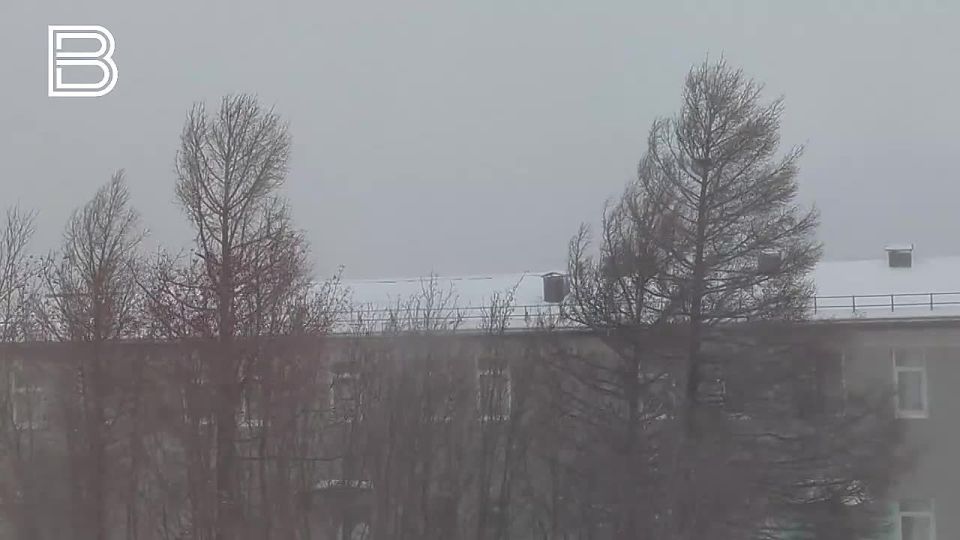   .   ,        ,   :   ,          ...