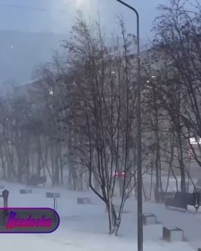 Непогода лишила Мурманск дорог, видимости и центральной елки — город заносит настоящая зимняя метель