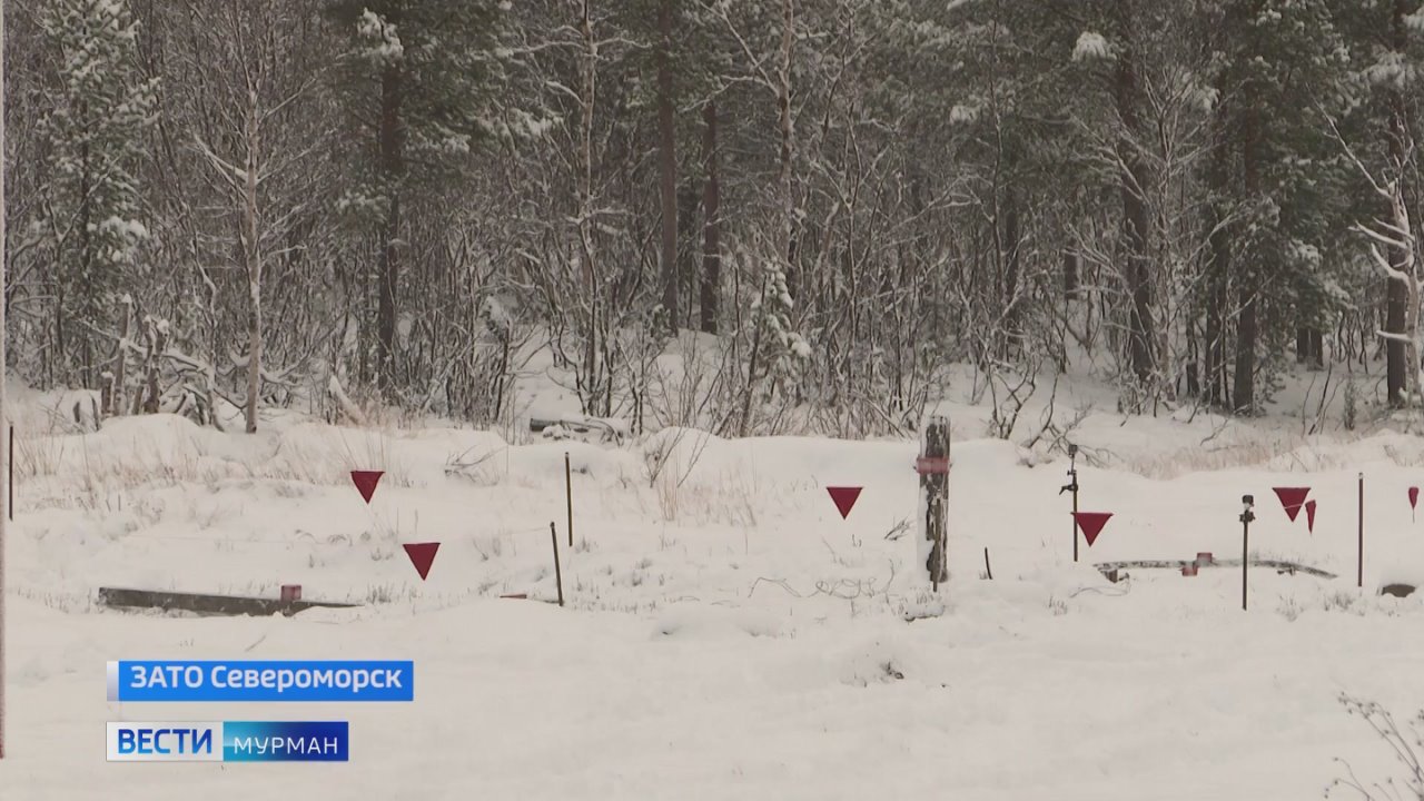 Сколько граммов тротила порвут стальной трос и почему один в минном поле – не воин
