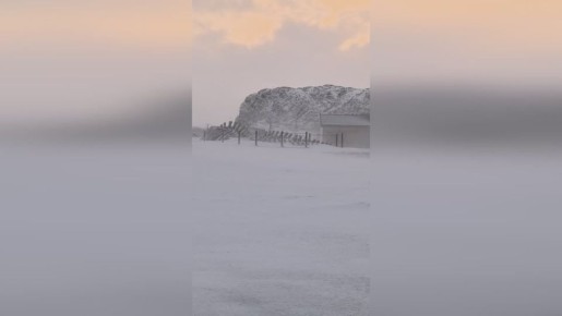 Более десяти туристов застряли в Териберке из-за сильной метели