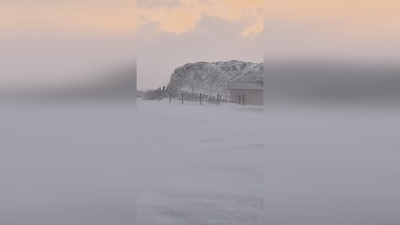 Более десяти туристов застряли в Териберке из-за сильной метели