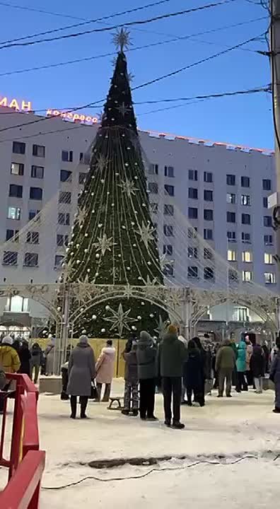 В Мурманске зажгли главную ёлку Кольского Заполярья