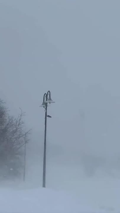 Шторм в Мурманской области парализовал трассы и повалил новогодние ёлки