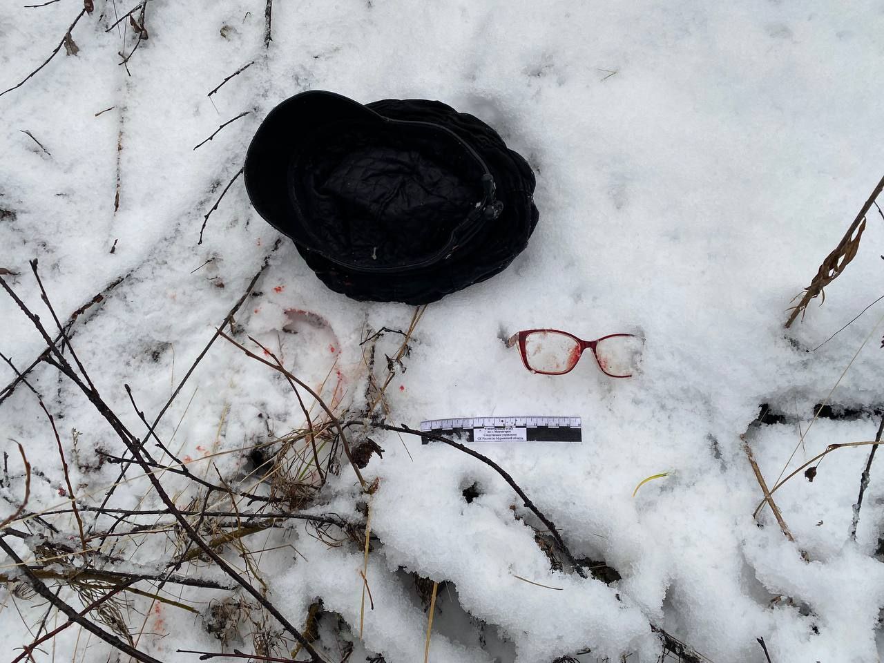 Житель Кургана обвиняется в совершении убийства в Ловозерском районе