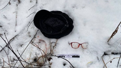 Обвиняемого в убийстве мурманчанки жителя Кургана заключили под стражу