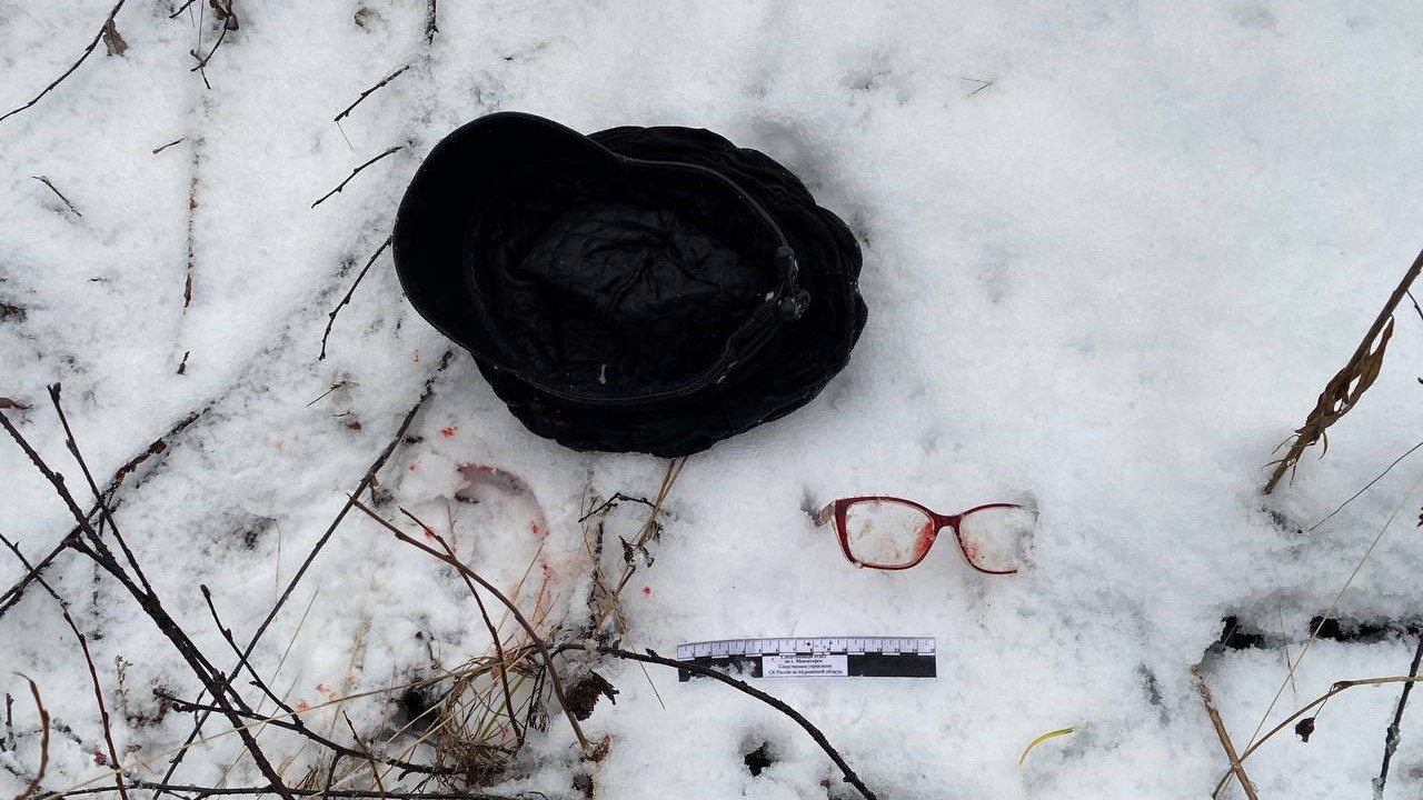 Обвиняемого в убийстве мурманчанки жителя Кургана заключили под стражу