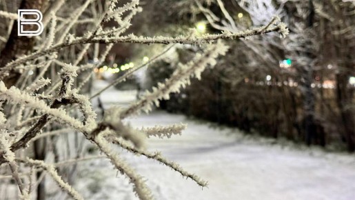 По данным мурманского гидрометцентра, 17 ноября в Кольском Заполярье ожидается облачная с прояснениями погода