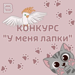 Всемирный день домашних животных все ближе