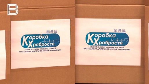 В Мурманской области стартовала акция "Коробка храбрости"