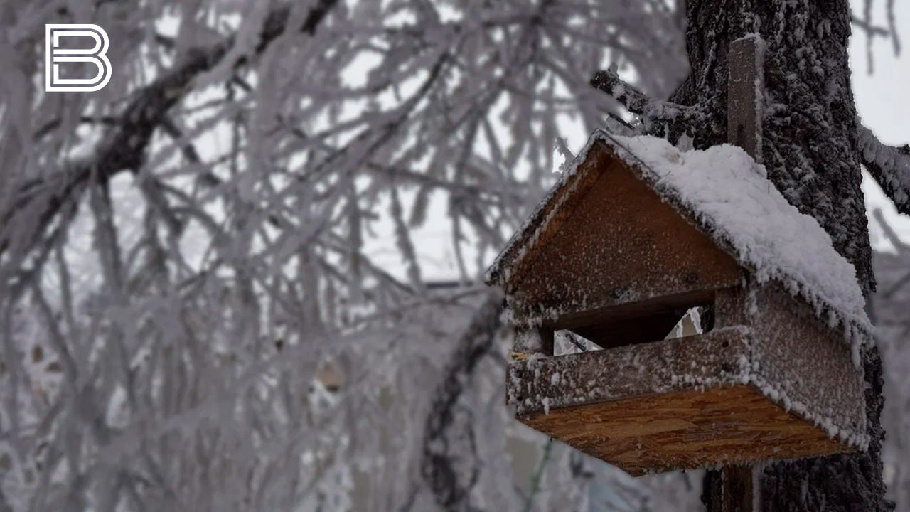 По информации Мурманского УГМС, 20 ноября в Кольском Заполярье будет облачная с прояснениями погода