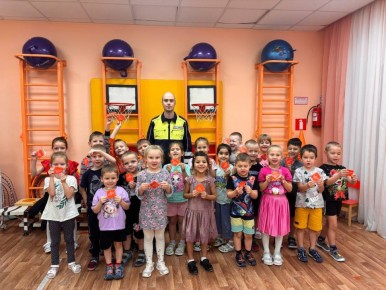 В условиях полярной ночи и короткого светового дня, характерных для Мурманской области, вопрос безопасности пешеходов становится особенно актуальным