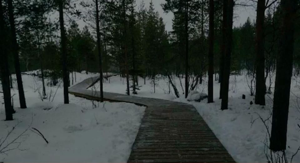 На тропе "Беличий хвост" в Мурманске до сих пор не установили освещение