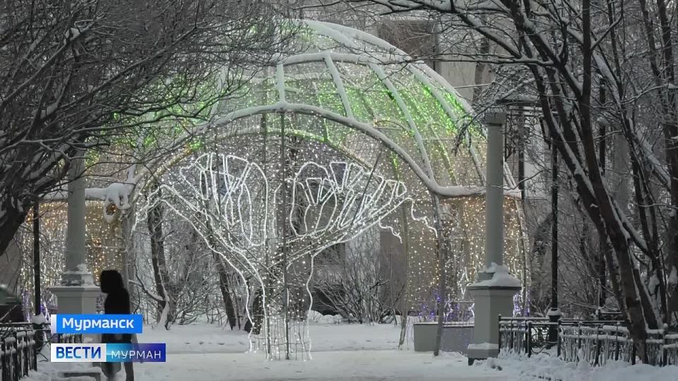 Северяне в шубах, деревья в инее: в Мурманск пришли холода