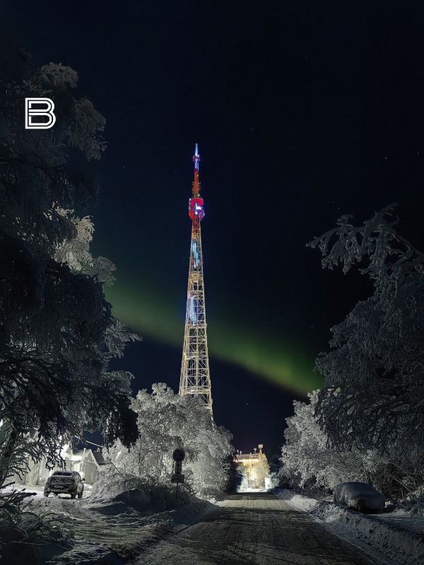 Иней покрыл кроны деревьев