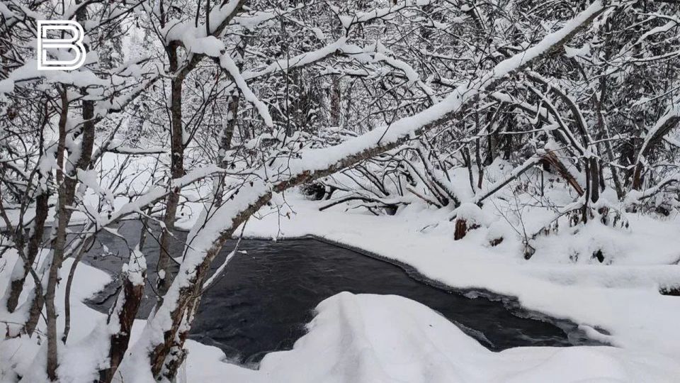 По данным мурманского гидрометцентра, 25 ноября в Кольском Заполярье ожидается переменная облачность