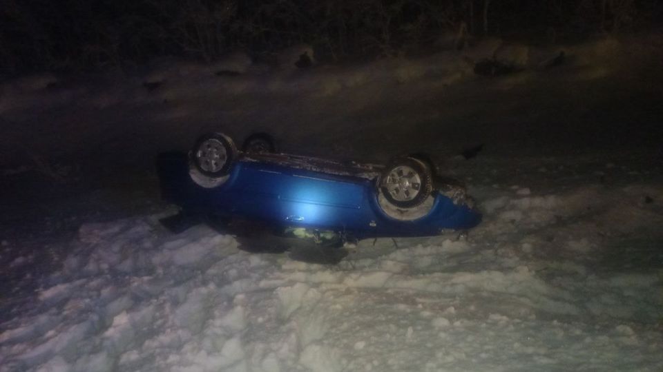 Легковушка оказалась в кювете после столкновения с лосем на Серебрянке