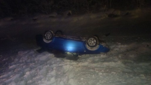 Легковушка оказалась в кювете после столкновения с лосем на Серебрянке