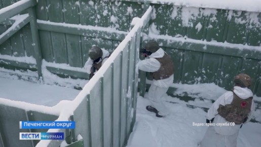 12 морпехов-гвардейцев Северного флота получили государственные награды в День морской пехоты России