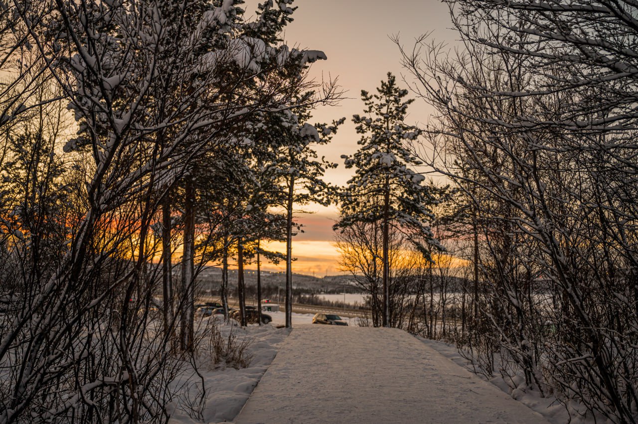 Территория спорткомплекса «Снежинка» – одно из любимых мест для прогулок мурманчан в любое время года Территория спорткомплекса «Снежинка» – одно из любимых мест для прогулок мурманчан в любое время года