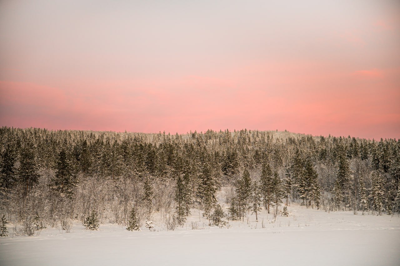 Территория спорткомплекса «Снежинка» – одно из любимых мест для прогулок мурманчан в любое время года Территория спорткомплекса «Снежинка» – одно из любимых мест для прогулок мурманчан в любое время года