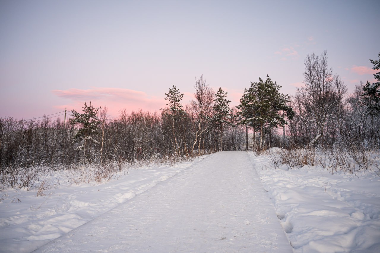 Территория спорткомплекса «Снежинка» – одно из любимых мест для прогулок мурманчан в любое время года Территория спорткомплекса «Снежинка» – одно из любимых мест для прогулок мурманчан в любое время года