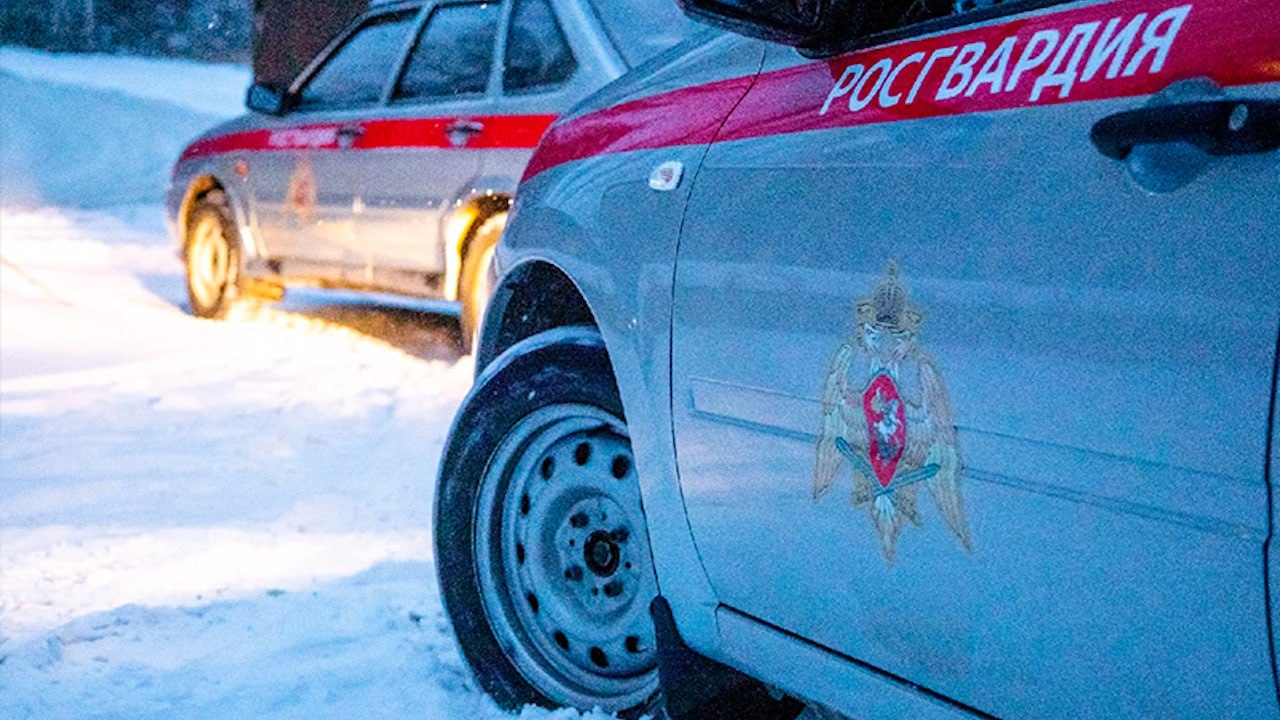 Росгвардейцы задержали в госучреждении Мурманска находящегося в розыске преступника