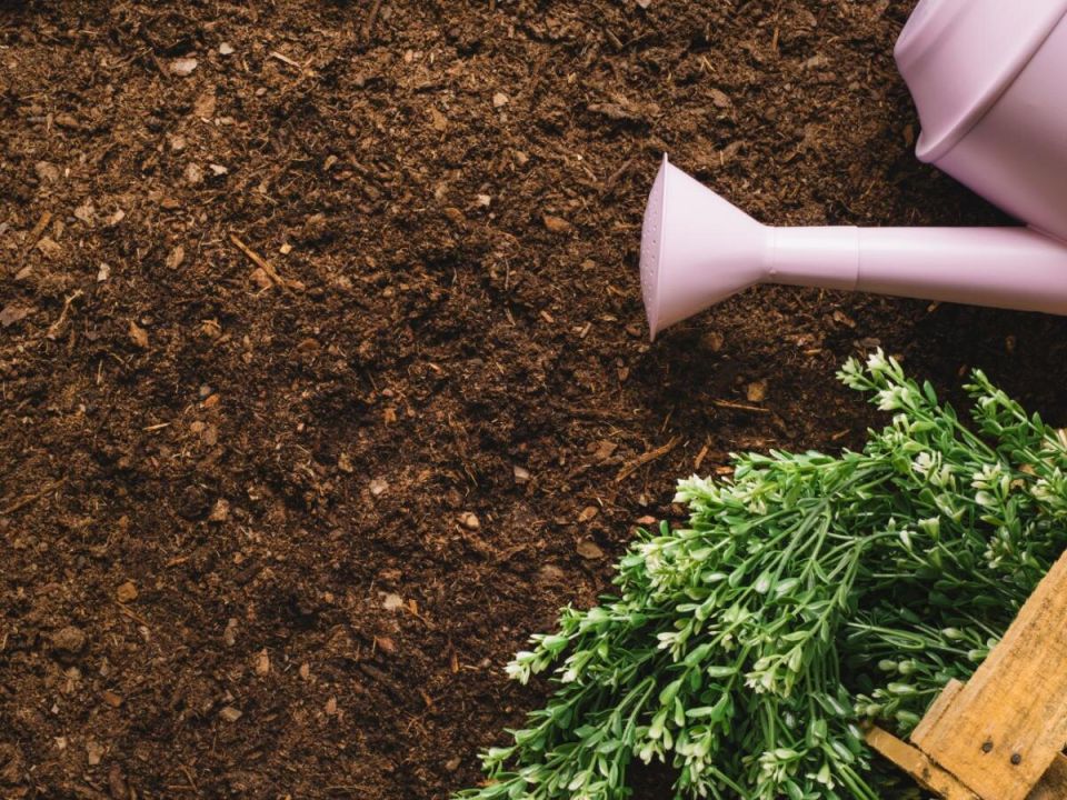 Тайны эффективного мульчирования